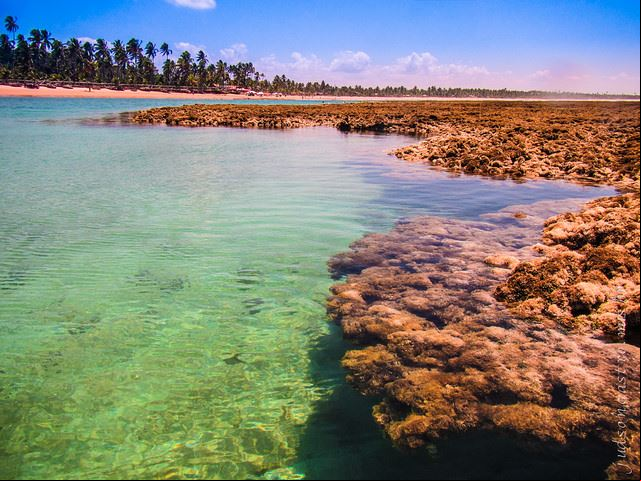 Praia de Taipus de Fora - Pen