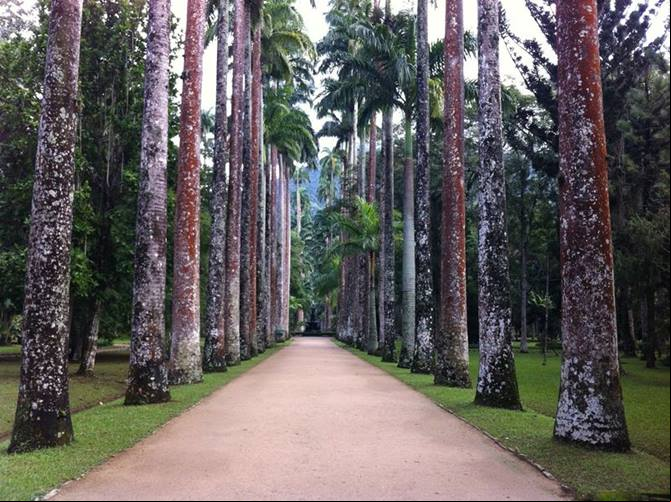 Jardim Bot